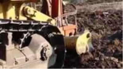 Orman Bölge Müdürü Yaprak yazın havada, kışın karada Orman Bölge Müdürü Yaprak yazın havada, kışın karada