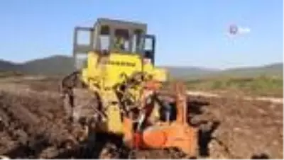 Orman Bölge Müdürü Yaprak yazın havada, kışın karada Orman Bölge Müdürü Yaprak yazın havada, kışın karada