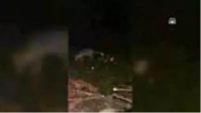 Ormanda kamp yaparken karşılaştığı tilkiyi eliyle besliyor Ormanda kamp yaparken karşılaştığı tilkiyi eliyle besliyor