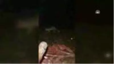 Ormanda kamp yaparken karşılaştığı tilkiyi eliyle besliyor Ormanda kamp yaparken karşılaştığı tilkiyi eliyle besliyor
