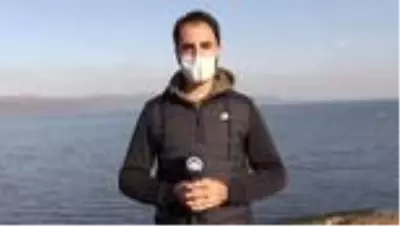 Son dakika! Sapanca Gölü'nün çevresi farkındalık oluşturmak amacıyla temizlendi Son dakika! Sapanca Gölü'nün çevresi farkındalık oluşturmak amacıyla temizlendi