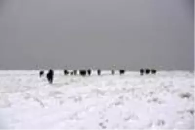 Siverek'te kar yağışının ardından Karacadağ beyaza büründü Siverek'te kar yağışının ardından Karacadağ beyaza büründü