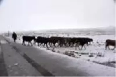 Siverek'te kar yağışının ardından Karacadağ beyaza büründü Siverek'te kar yağışının ardından Karacadağ beyaza büründü