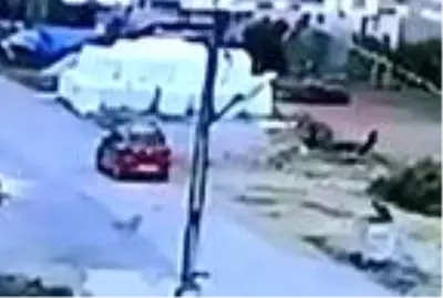 Son dakika haberleri | Sokak köpeğini öldüren şüpheli yakalandı Son dakika haberleri | Sokak köpeğini öldüren şüpheli yakalandı