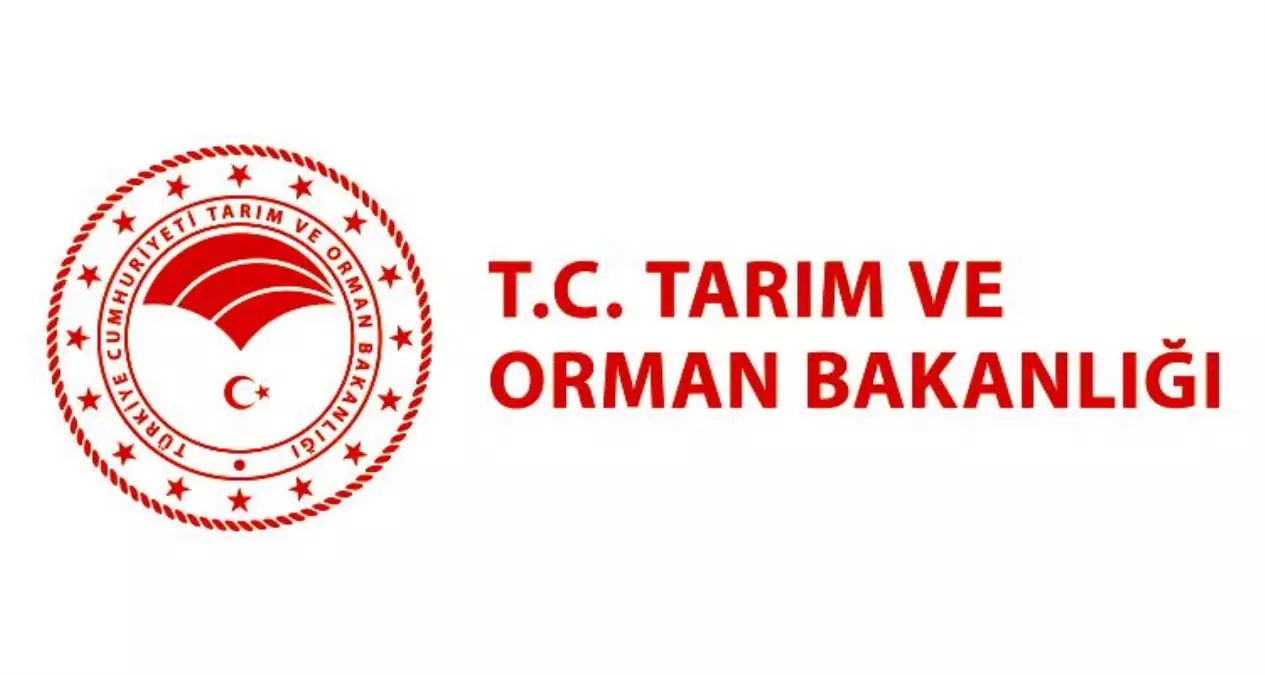 Tarim Ve Orman Bakanligi Kadrolu Isci Alimi Ilani Yayinlandi Mi Tarim Ve Orman Bakanligi Kac Kisi Alacak Basvuru Tarihleri Ne Haberler