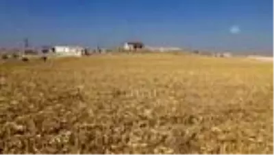 Tarlalarında oluşan 2 obruğa rağmen tarıma devam ediyorlar Tarlalarında oluşan 2 obruğa rağmen tarıma devam ediyorlar