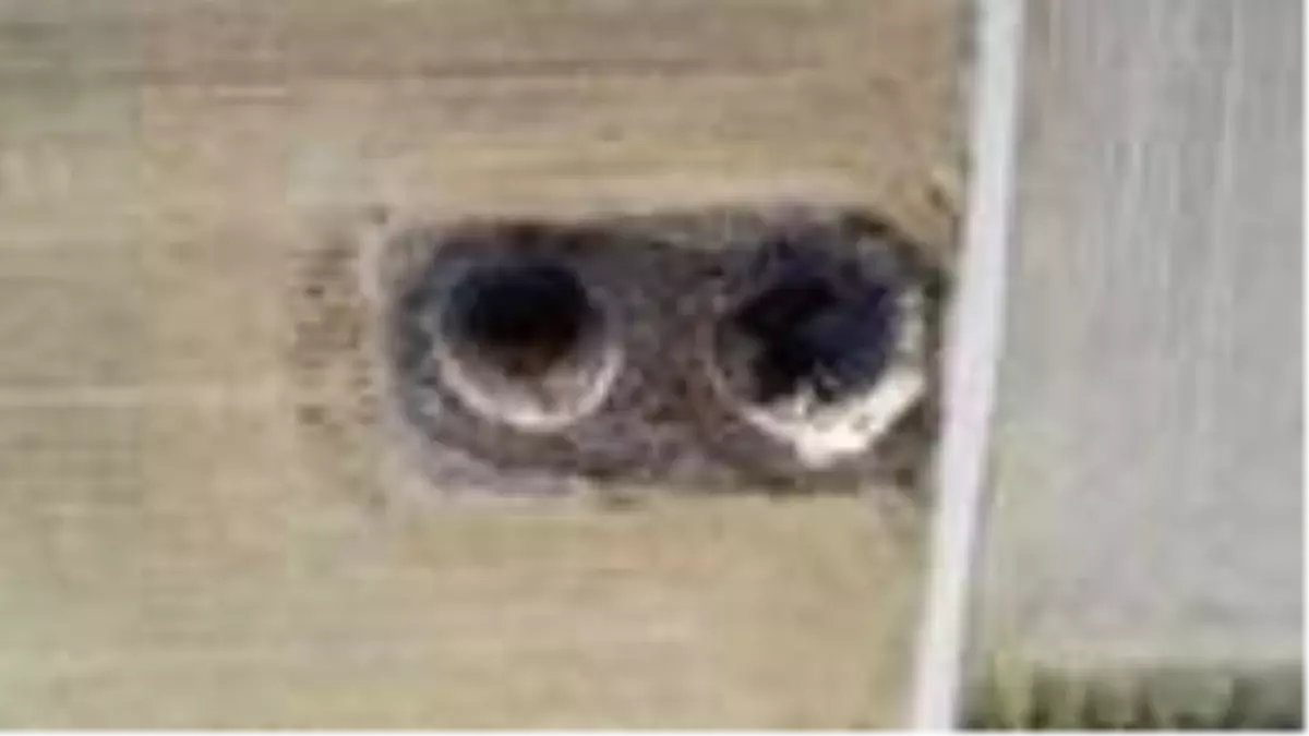 Tarlasında 2 obruk oluşan çiftçi: Riskli de olsa her yıl ekim yapıyoruz