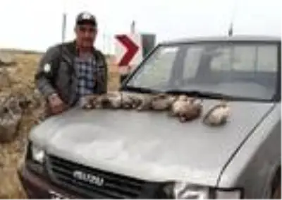 Tunceli'de kınalı keklik avlayan 5 kişiye 15 bin 500 TL ceza Tunceli'de kınalı keklik avlayan 5 kişiye 15 bin 500 TL ceza