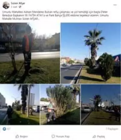 Umurlu'da yeşil alan temizlik çalışmaları devam ediyor Umurlu'da yeşil alan temizlik çalışmaları devam ediyor