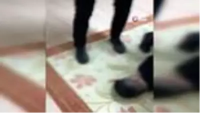 Son dakika... Uygur Türkü'nü vuran zanlının yakalanma anı kamerada Son dakika... Uygur Türkü'nü vuran zanlının yakalanma anı kamerada