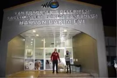 Son dakika haberi | Trafik kazasında bir bacağını kaybeden 'Pamuk'u Adanalı hayvansever sahiplendi Son dakika haberi | Trafik kazasında bir bacağını kaybeden 'Pamuk'u Adanalı hayvansever sahiplendi