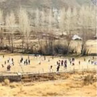 Gürpınar'da uçurtma şenliği Gürpınar'da uçurtma şenliği