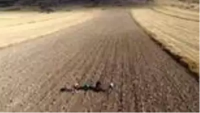 ABD'den Türkiye'ye bir girişimci kadın hikayesi ABD'den Türkiye'ye bir girişimci kadın hikayesi