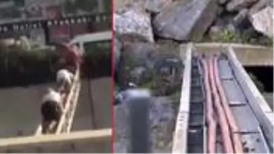 Bağcılar'da pes dedirten görüntüler! Ölümü göze alıp karşıya geçiyorlar Bağcılar'da pes dedirten görüntüler! Ölümü göze alıp karşıya geçiyorlar