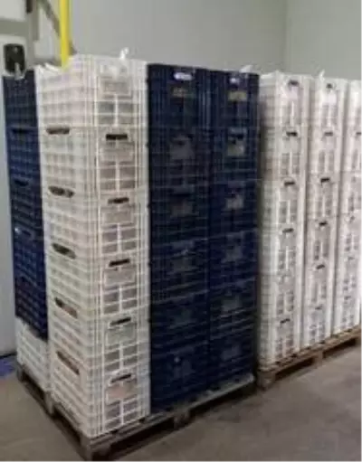 Son dakika haber: Cumhurbaşkanı Erdoğan'dan sağlık çalışanlarına C vitamini takviyesi Son dakika haber: Cumhurbaşkanı Erdoğan'dan sağlık çalışanlarına C vitamini takviyesi