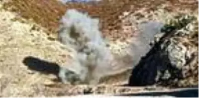 Bitlis kırsalında PKK'ya ait EYP ve top mühimmatı ele geçirildi Bitlis kırsalında PKK'ya ait EYP ve top mühimmatı ele geçirildi