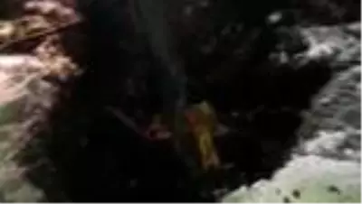 Çamura saplanan atı belediye ekipleri kurtardı Çamura saplanan atı belediye ekipleri kurtardı