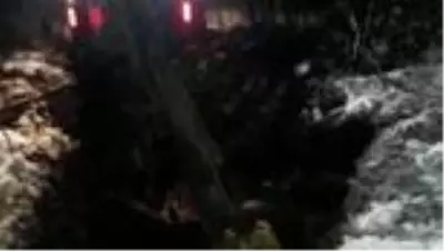 Çamura saplanan atı belediye ekipleri kurtardı Çamura saplanan atı belediye ekipleri kurtardı