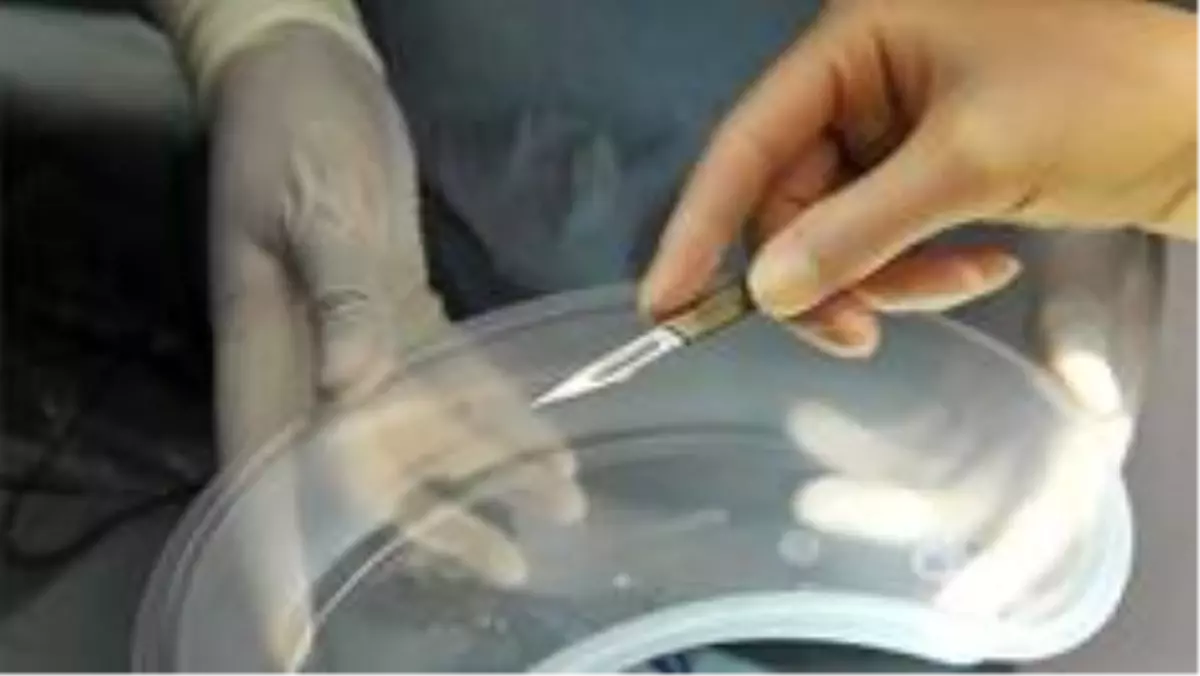 Çin'de trafik kazasında ölenlerin organlarını çalmakla suçlanan doktorlara hapis cezası