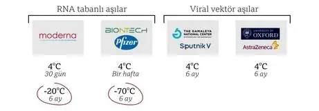 Covid 19 aşılarının farkları neler, nasıl dağıtılacaklar? Covid 19 aşılarının farkları neler, nasıl dağıtılacaklar?