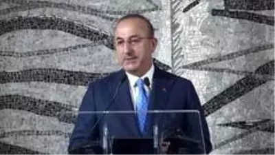 Çavuşoğlu, İslam İşbirliği Teşkilatı 47. Dışişleri Bakanları Konseyi toplantısına katıldı (2) Çavuşoğlu, İslam İşbirliği Teşkilatı 47. Dışişleri Bakanları Konseyi toplantısına katıldı (2)