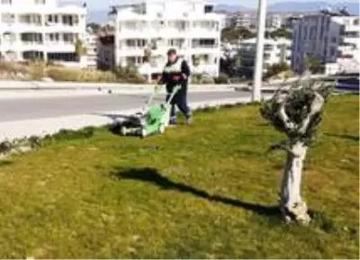 Didim'de Park Bahçeler Müdürlüğü çalışmalarını sürdürüyor Didim'de Park Bahçeler Müdürlüğü çalışmalarını sürdürüyor