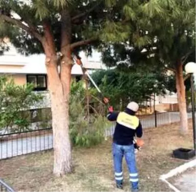 Didim'de Park Bahçeler Müdürlüğü çalışmalarını sürdürüyor Didim'de Park Bahçeler Müdürlüğü çalışmalarını sürdürüyor