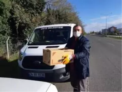 Dikkati sayesinde yaralı şahin hayata tutundu Dikkati sayesinde yaralı şahin hayata tutundu