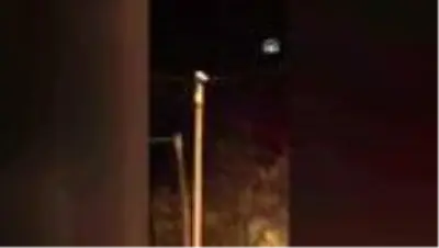 Elektrik direğinde mahsur kalan kediyi itfaiye kurtardı Elektrik direğinde mahsur kalan kediyi itfaiye kurtardı