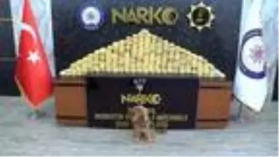 Esenyurt'ta uyuşturucu evin deposunda 113 kilogram eroin ele geçirildi Esenyurt'ta uyuşturucu evin deposunda 113 kilogram eroin ele geçirildi
