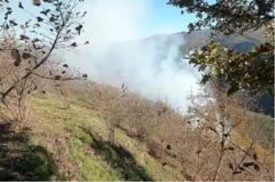 Son dakika haber | Fındıklık yangını kısa sürede söndürüldü Son dakika haber | Fındıklık yangını kısa sürede söndürüldü