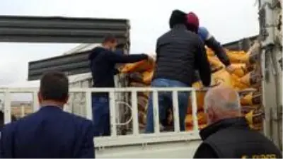 Gercüş'te çiftçilere kırmızı mercimek tohumu dağıtıldı Gercüş'te çiftçilere kırmızı mercimek tohumu dağıtıldı