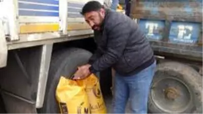 Gercüş'te çiftçilere kırmızı mercimek tohumu dağıtıldı Gercüş'te çiftçilere kırmızı mercimek tohumu dağıtıldı