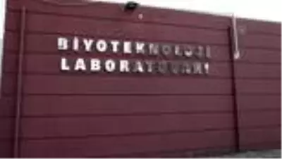 GÜZELYURT - TİKA, KKTC'deki fidan üretim istasyonlarını modernize etti GÜZELYURT - TİKA, KKTC'deki fidan üretim istasyonlarını modernize etti