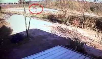 Son dakika haberleri! Hırsız ile polis arasında nefes kesen anlar kameraya yansıdı Son dakika haberleri! Hırsız ile polis arasında nefes kesen anlar kameraya yansıdı