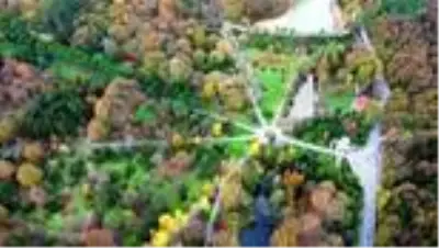 İstanbul'da sonbaharın renkleri Atatürk Arboretumu'nda İstanbul'da sonbaharın renkleri Atatürk Arboretumu'nda