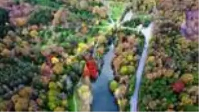 İstanbul'da sonbaharın renkleri Atatürk Arboretumu'nda İstanbul'da sonbaharın renkleri Atatürk Arboretumu'nda