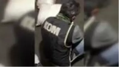 Kaçakçılık operasyonu: 7 gözaltı Kaçakçılık operasyonu: 7 gözaltı