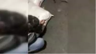 Kaçakçılık operasyonu: 7 gözaltı Kaçakçılık operasyonu: 7 gözaltı