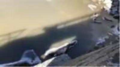 Kars Çayı kısmen buz tuttu Kars Çayı kısmen buz tuttu