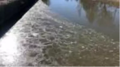 Kars Çayı kısmen buz tuttu Kars Çayı kısmen buz tuttu