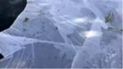 Kars Çayı kısmen buz tuttu Kars Çayı kısmen buz tuttu