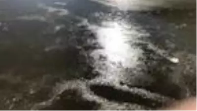 Kars Çayı kısmen buz tuttu Kars Çayı kısmen buz tuttu