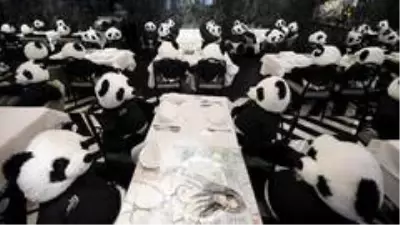 Koronadan kapanan restoranında oyuncak pandaları müşteri gibi ağırladı Koronadan kapanan restoranında oyuncak pandaları müşteri gibi ağırladı