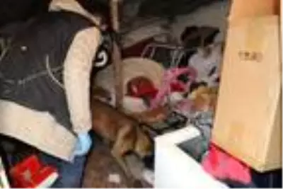 Son dakika haberi | Kütahya'da uyuşturucu operasyonu: 7 gözaltı Son dakika haberi | Kütahya'da uyuşturucu operasyonu: 7 gözaltı