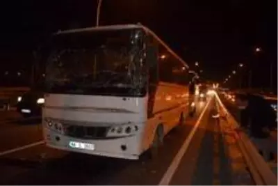 - Malatya'da Viyadükte zincirleme kaza: 4 yaralı - Malatya'da Viyadükte zincirleme kaza: 4 yaralı