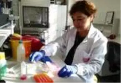 Ölümlere neden olan kaçak üretilen alkolün izini sürecek sistem geliştirdiler Ölümlere neden olan kaçak üretilen alkolün izini sürecek sistem geliştirdiler