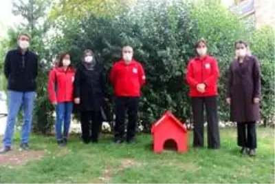 Sokakta üşüyen hayvanlar için barınaklar yaptılar Sokakta üşüyen hayvanlar için barınaklar yaptılar
