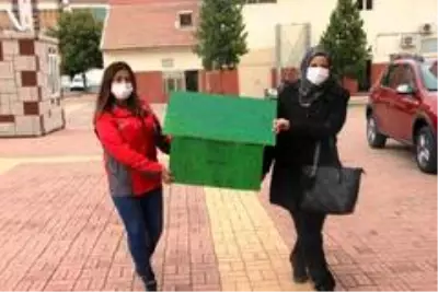 Sokakta üşüyen hayvanlar için barınaklar yaptılar Sokakta üşüyen hayvanlar için barınaklar yaptılar