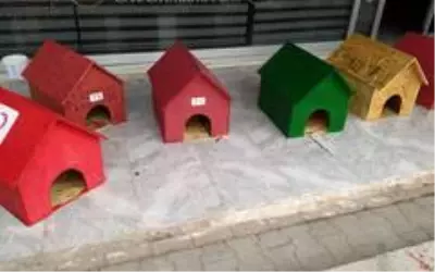 Sokakta üşüyen hayvanlar için barınaklar yaptılar Sokakta üşüyen hayvanlar için barınaklar yaptılar